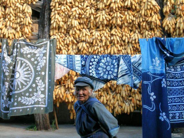 大理幼兒秋游研學(xué)，看大理研學(xué)基地如何助力大理研學(xué)！