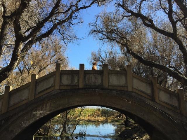 大理研學(xué)行程--這次我們帶你去見不一樣的大理！