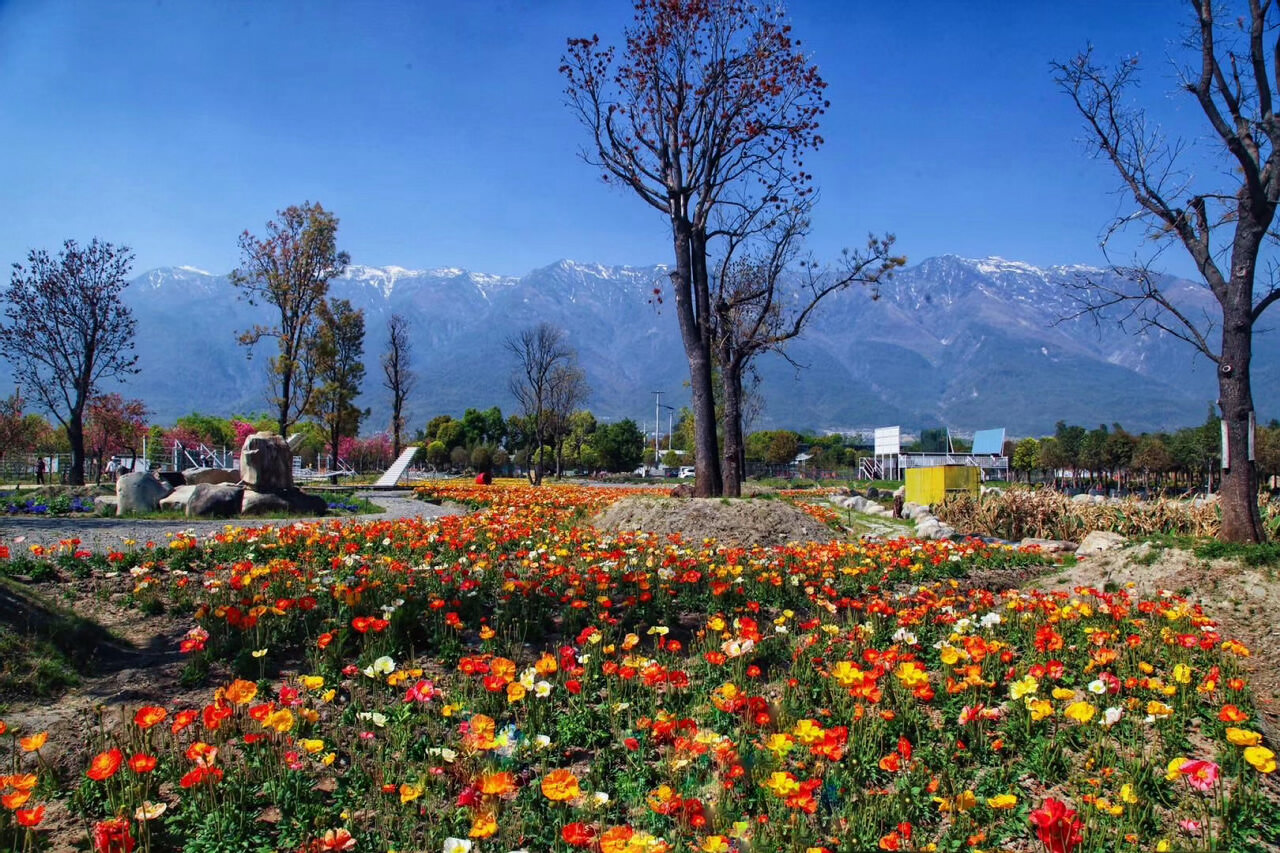 大理戶外拓展訓(xùn)練基地