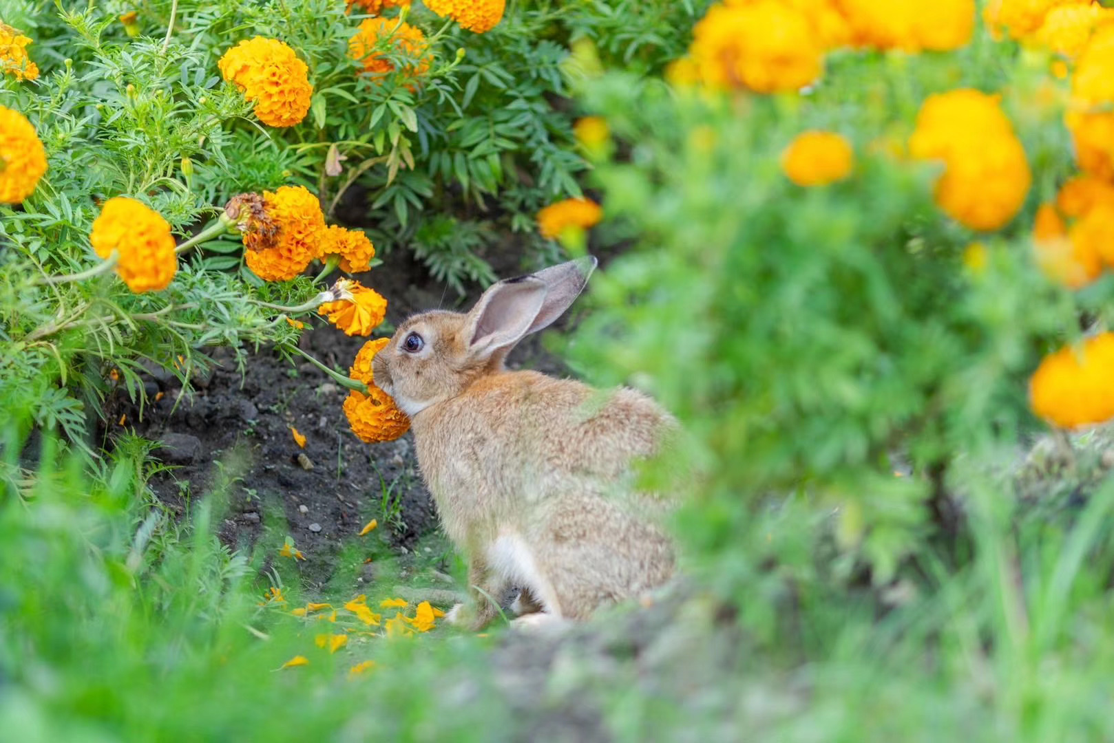 大理戶外拓展訓(xùn)練基地