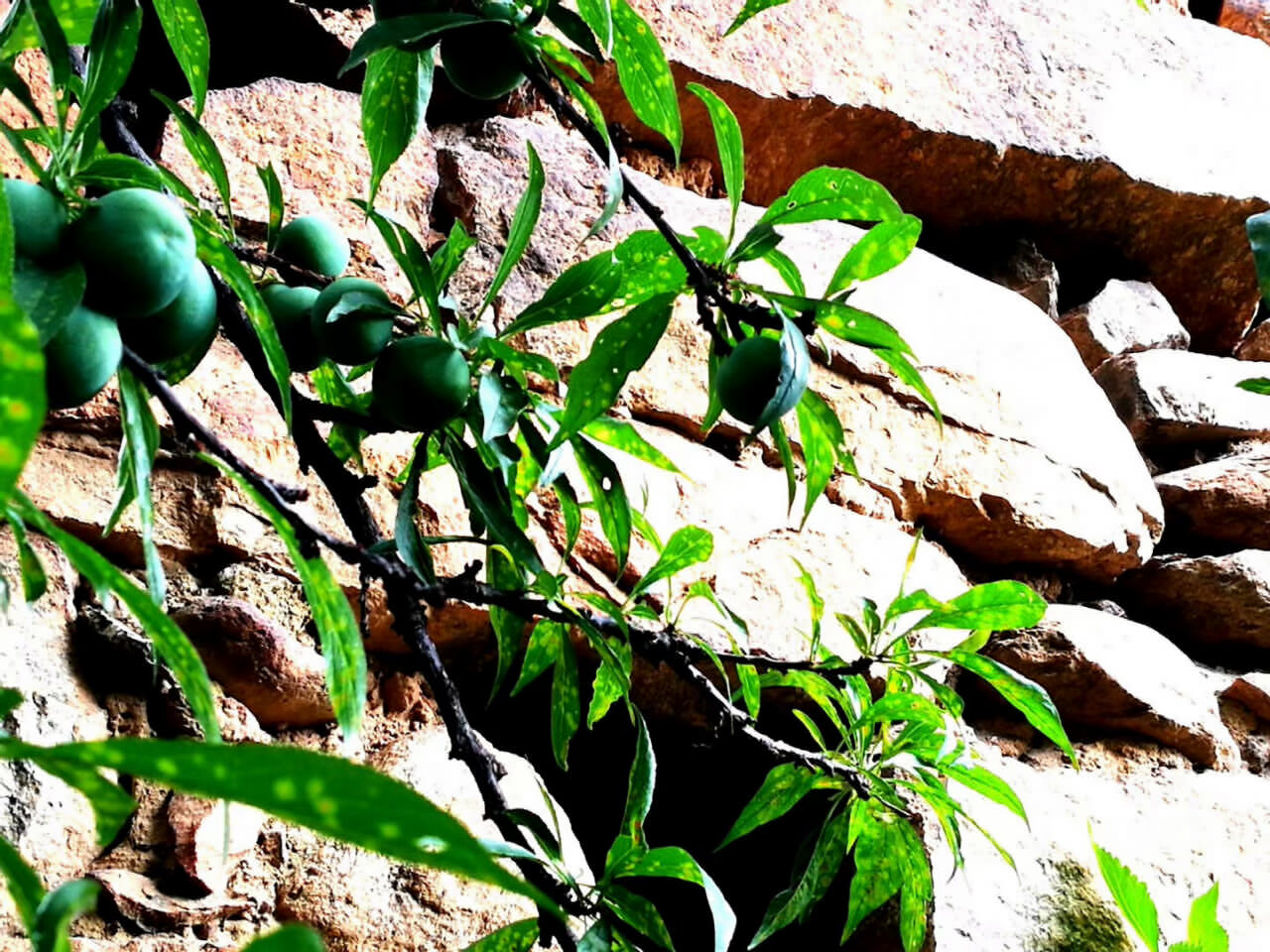 大理企業(yè)戶外徒步線路團(tuán)建拓展訓(xùn)練茶馬古道攻略之大理鳳陽(yáng)邑古村落段