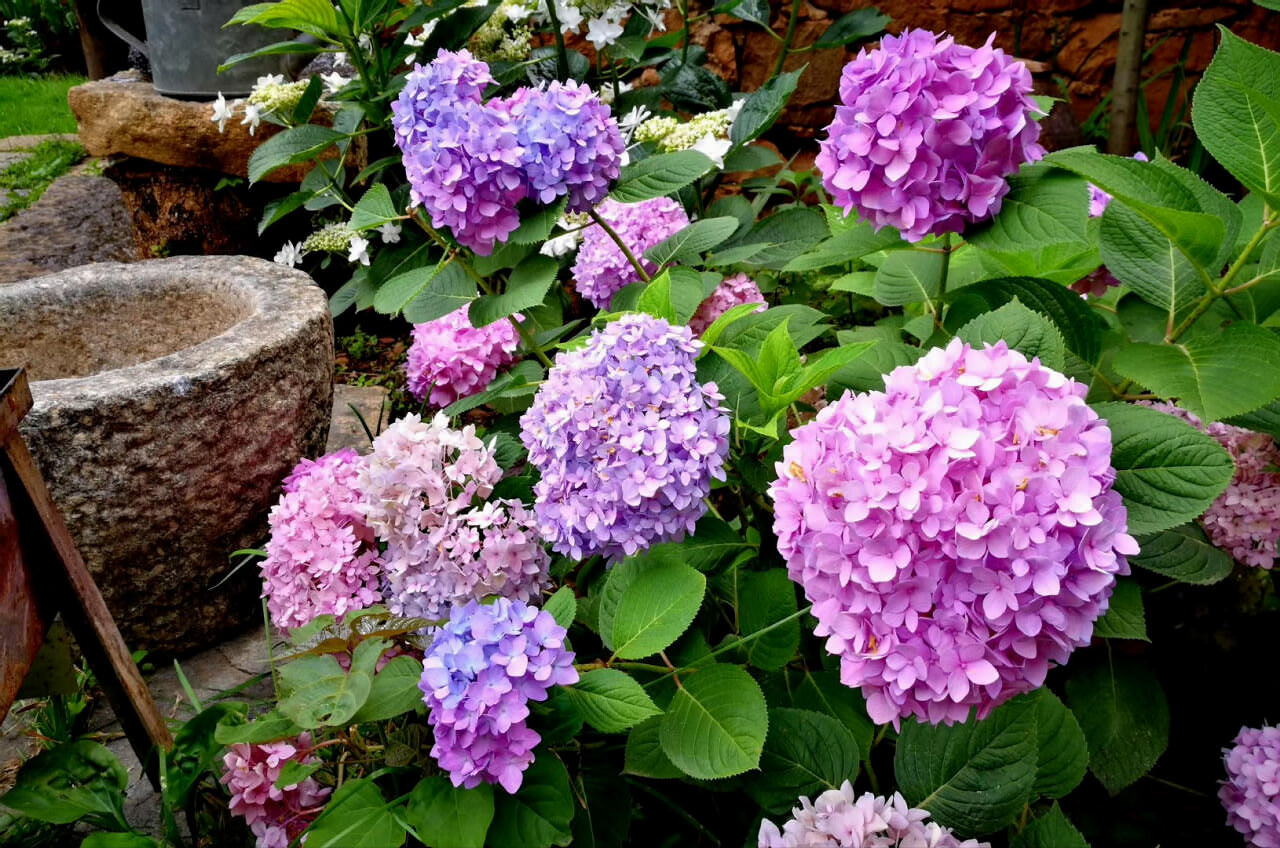 大理茶馬古道團(tuán)建鳳陽(yáng)邑古村落