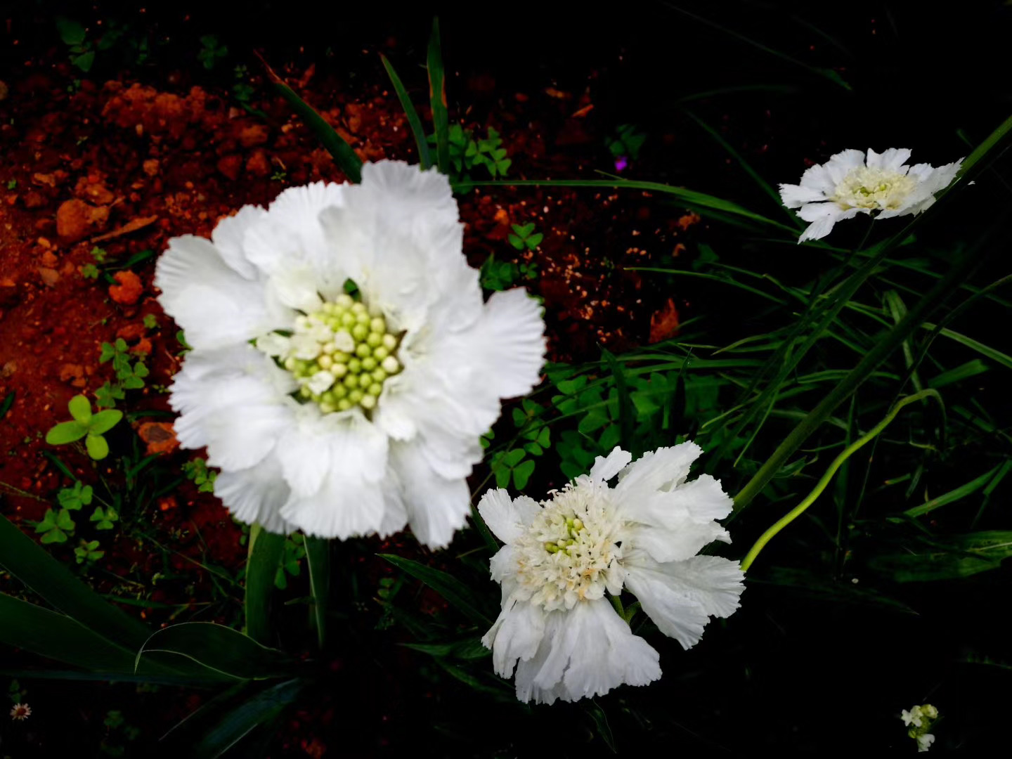 大理茶馬古道團(tuán)建鳳陽(yáng)邑古村落