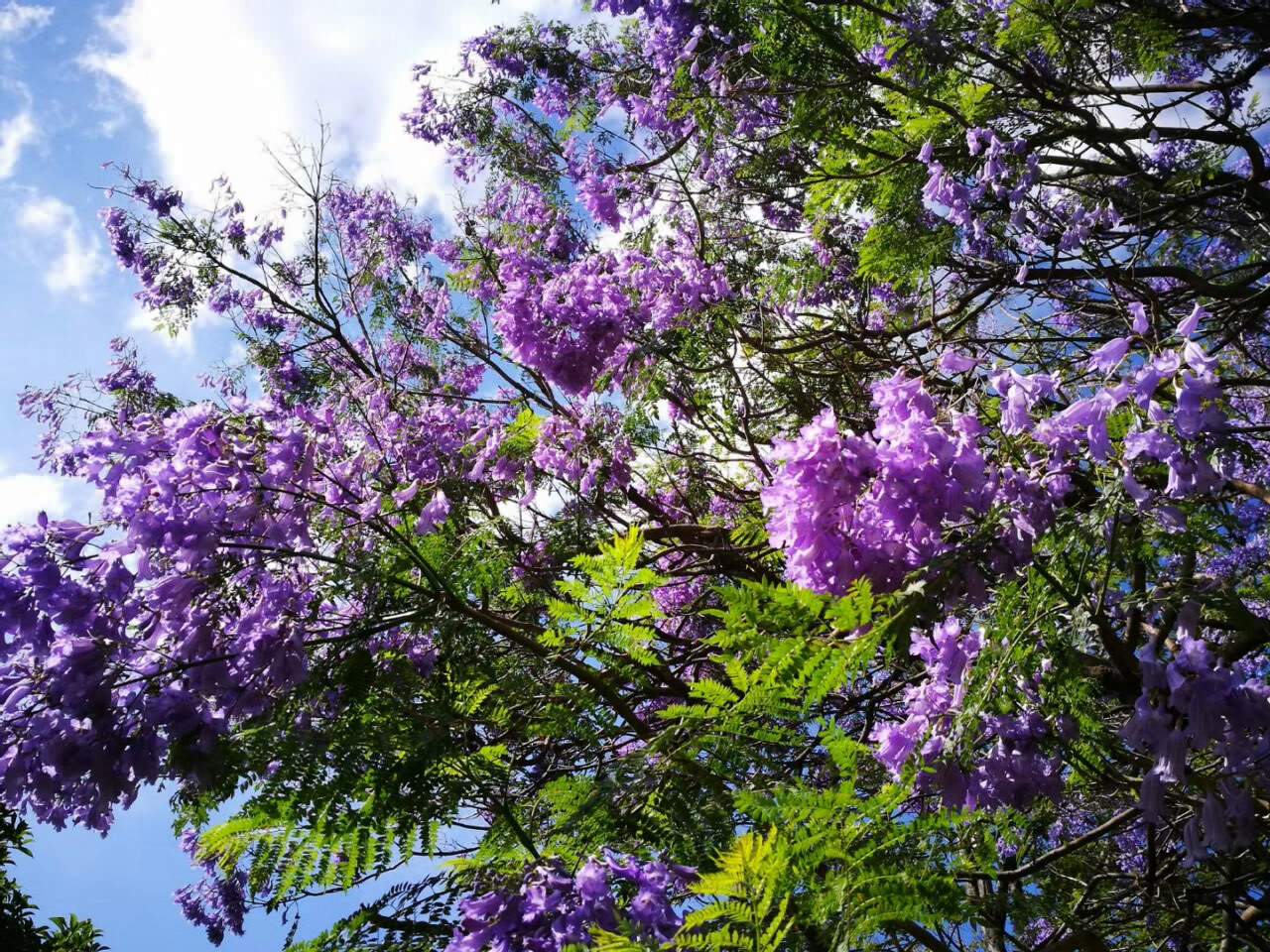 大理茶馬古道團(tuán)建鳳陽(yáng)邑古村落
