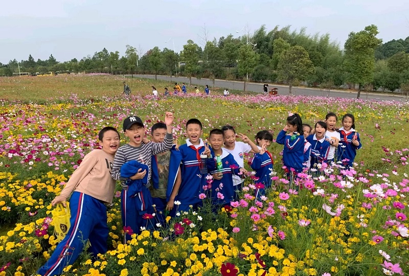 大理研學(xué)旅行