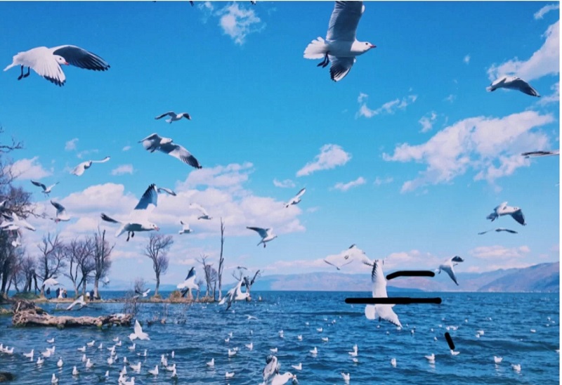 大理暑期夏令營培養(yǎng)良好的生活自理習慣讓你的孩子完美蛻變