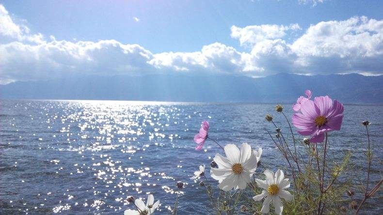 天行大理沖心智夏令營課程能對青少年心智發(fā)展的幫助哪些？