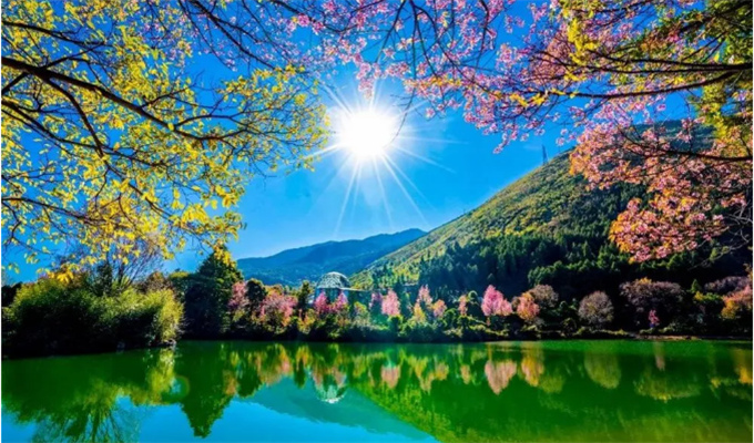 大理旅游蝴蝶泉邊：邂逅超越時(shí)代的古老愛(ài)情，浪漫與幸福觸手可及