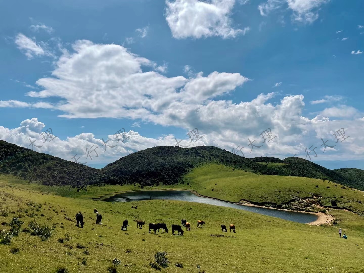 大理洱源鳥吊山徒步露營(yíng)