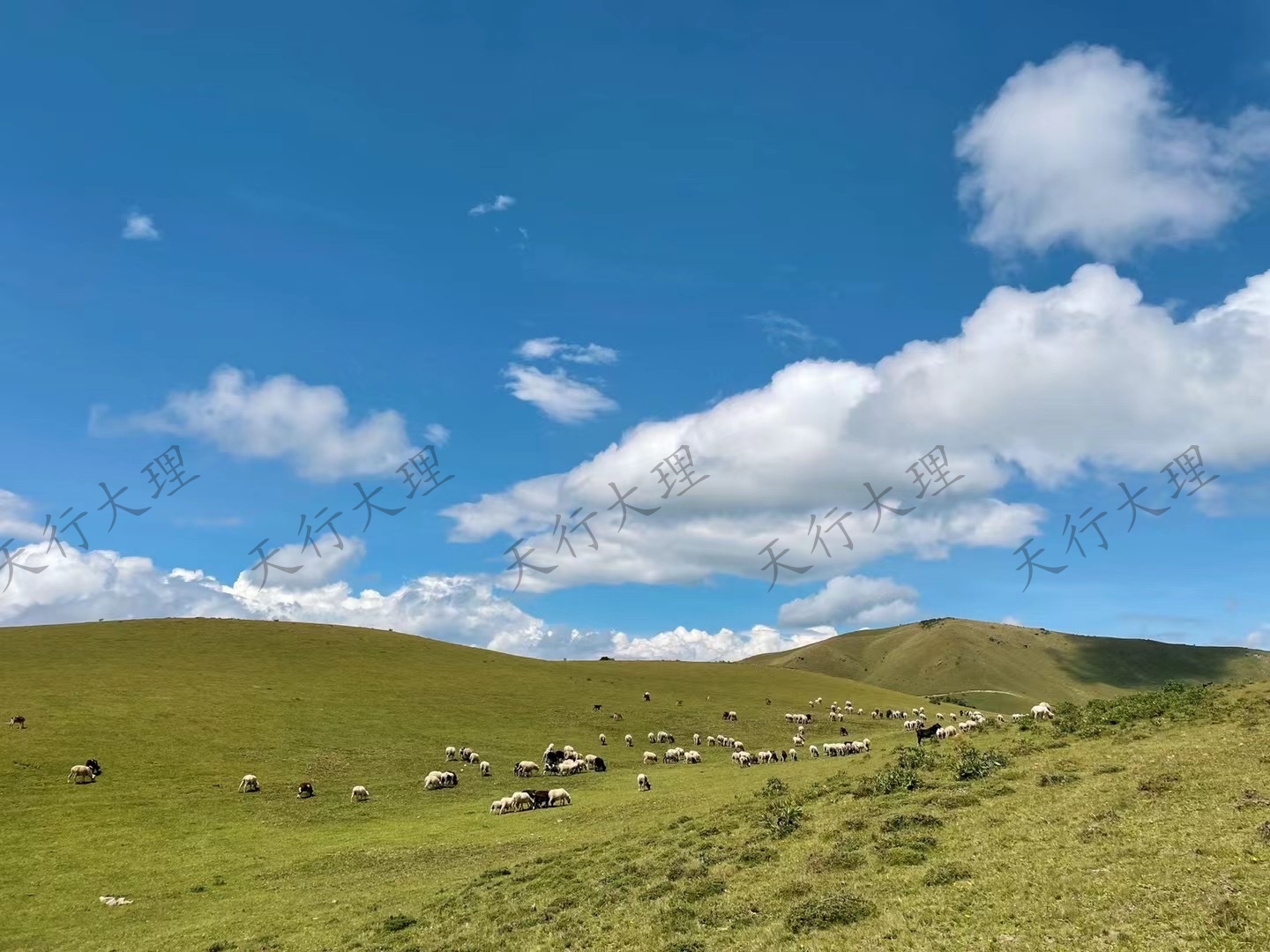 大理洱源鳥吊山徒步露營(yíng)