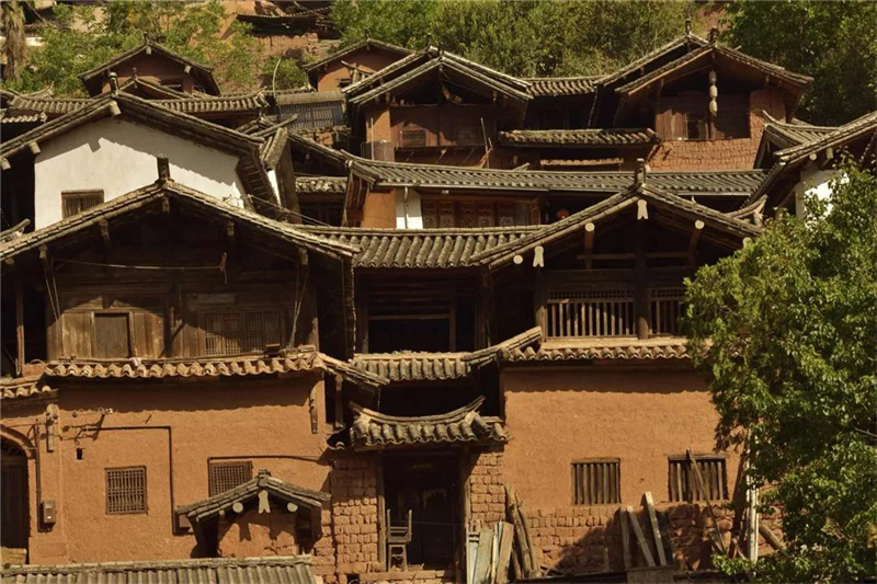 鄉(xiāng)愁大理丨諾鄧大青樹下，宿進(jìn)青蔥歲月，眺望巨木蒼天