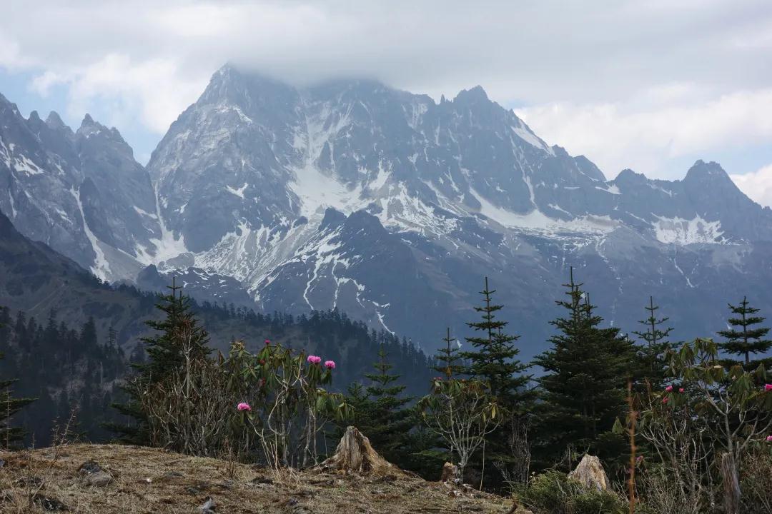 在大理，我找到了真正的森林 大理旅游攻略