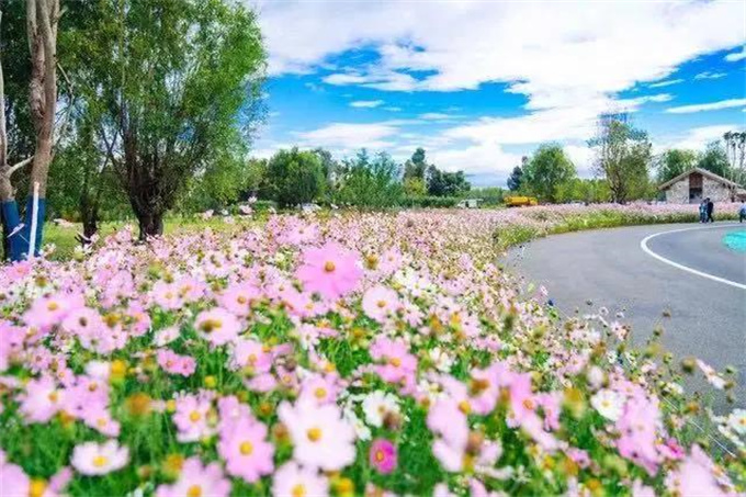 洱海生態(tài)廊道，不見不散