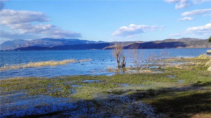 大理洱海｜萬頃洱海揚清波，一湖碧水映蒼山