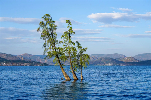 云南旅游,云南旅行社,云南團建公司,云南策劃公司,云南會議會展,云南旅游地接,大理旅游,大理旅行社,大理團建公司,大理策劃公司,大理會議會展：避暑，為什么要去大理？