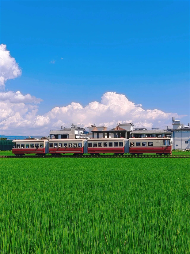 大理旅游,大理旅行社,大理團建公司,大理策劃公司,大理會議會展,云南旅游,云南旅行社,云南團建公司,云南策劃公司,云南會議會展：坐上喜洲稻田小火車，一秒進入動漫畫卷