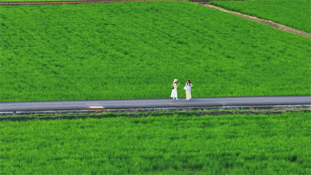 云南旅游,云南旅行社,云南團建公司,云南策劃公司,云南會議會展,大理旅游,大理旅行社,大理團建公司,大理會議會展：去大理，坐上那趟心愛的小火車