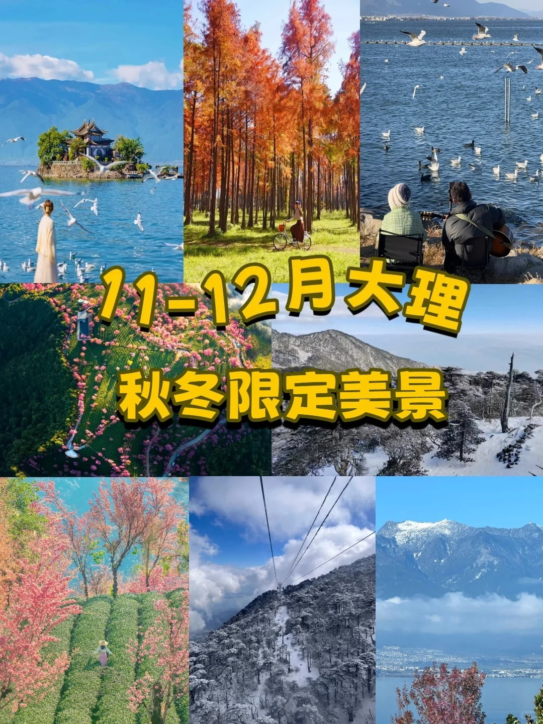 云南旅游,云南旅行社,云南團建公司,云南策劃公司,云南會議會展,云南策劃執(zhí)行,大理旅游,大理旅行社,大理團建公司,大理會議公司,大理會議會展,大理策劃公司:11-12月大理秋季限定美景美到窒息